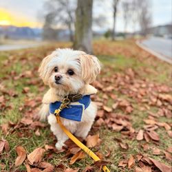 Riverfront Park - Kuba girl 11/22/25