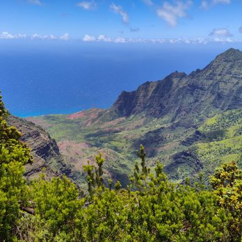 Koke'e State Park - The NaPali Coast seen from Pu'u O Kila in Koke'e State Park on Kauai, Hawaii. - Parks Near Me