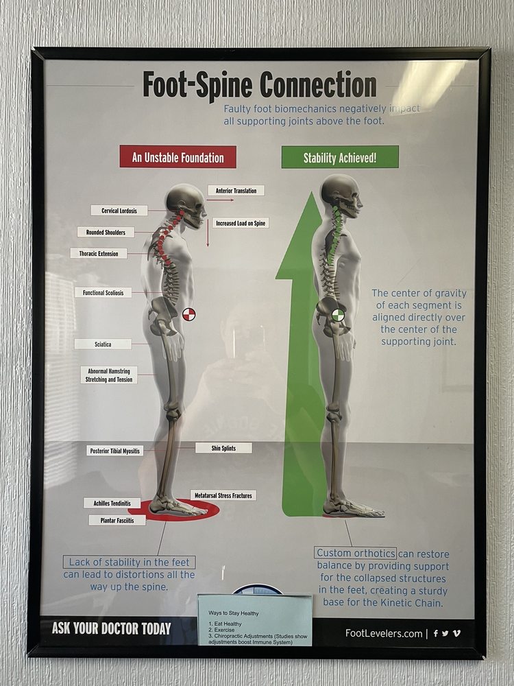 BERLIN CHIROPRACTIC Updated August 2024 262 S White Horse Pike