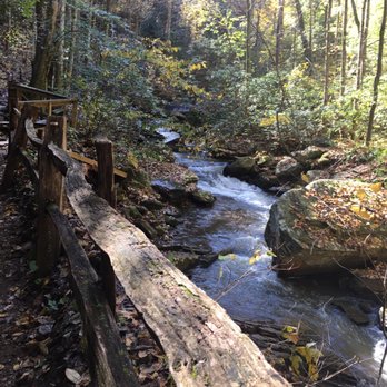 Pearson's Falls and Glen - Trail creek all the way to top - Hiking Near Me - Saluda, North Carolina Pearson's Falls and Glen - Trail creek all the way to top - Hiking Near Me - Saluda, North Carolina