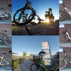 Riactiva - Alquiller e passeos de Bicicleta_bike tours en Aveiro