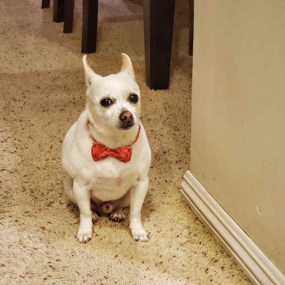 So clean and handsome now!!