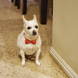 So clean and handsome now!!