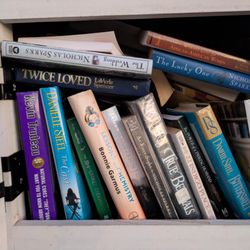 Little Free Library - Endhaven Little Free Library, 6805 Endhaven Lane, Charlotte