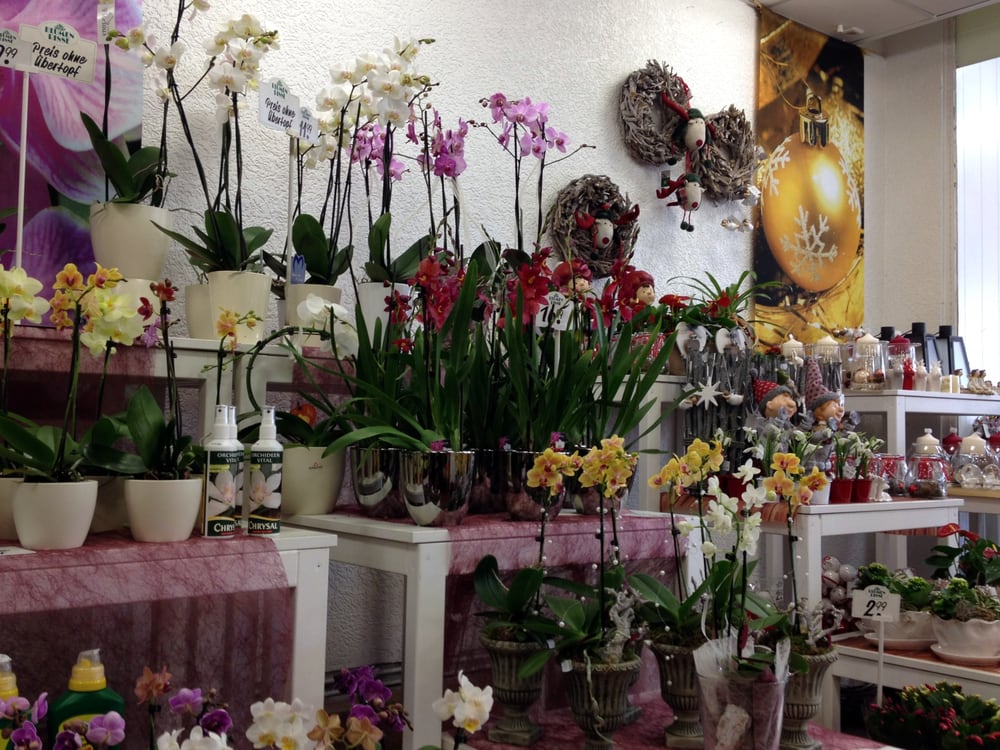 BLUMEN RISSE - Mittelstr. 87, Hilden, Nordrhein-Westfalen, Germany ...