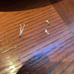 Bones from Trout