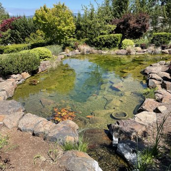 DANCIN Vineyards - Scenery - Wineries Near Me - Medford, Oregon