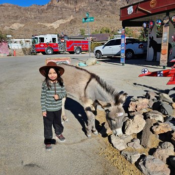 Town of Oatman - My 6 year old and one of his burro buddies - Local Flavor Near Me