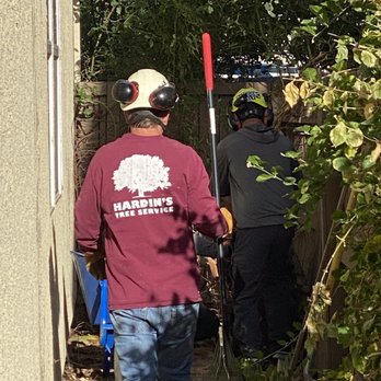 Hardin's Tree Service - Tree Services Near Me - Sacramento, California Hardin's Tree Service - Tree Services Near Me - Sacramento, California