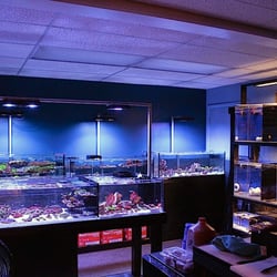 House of Corals