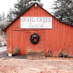 Quail Creek Ranch Christmas Trees