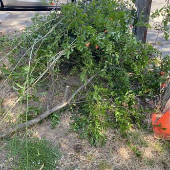 Strong Sons Junk Removal - More crap - Junk Removal & Hauling Near Me