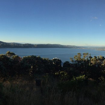 Mount Victoria Lookout - Local Flavor Near Me - Wellington, WGN