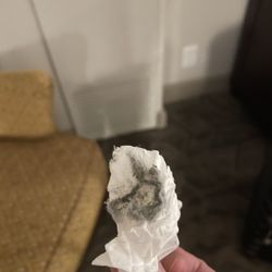 Dust that I cleaned