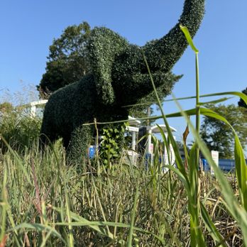 ModWash - Molly the Elephant - Car Wash Near Me - East Ridge, Tennessee