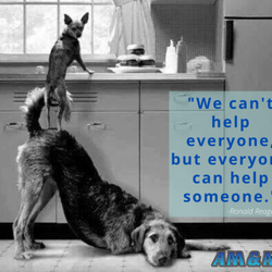 Need an appliance repaired? We're happy to help! Call us at 951-656-5624.