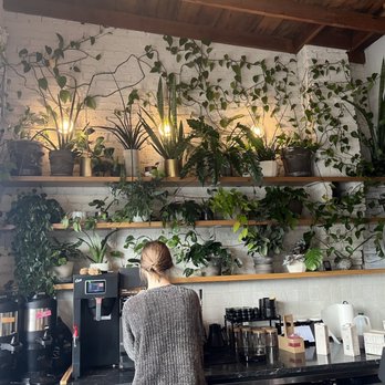 Elegy Coffee - Coffee & Tea Near Me - Nashville, Tennessee