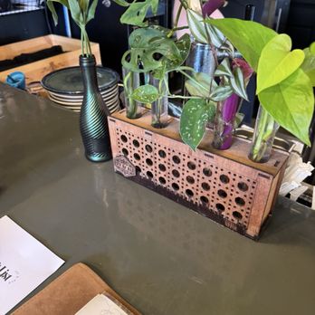 Ivy and Ale - Bar - Nurseries & Gardening Near Me - Fort Walton Beach, Florida