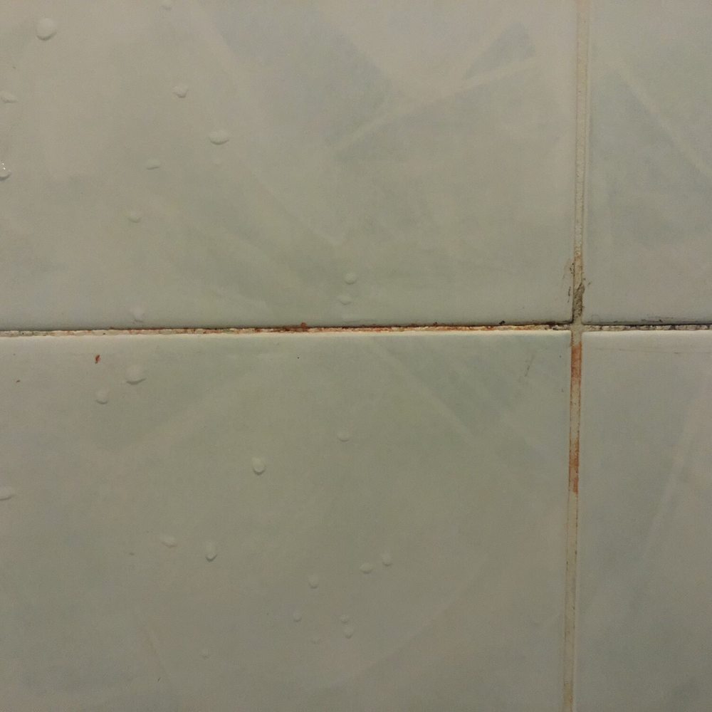 Hotel Stella - Mold inside shower - Hotels Near Me - Rome, RM