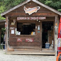 Cooper Creek Trout Farm