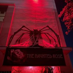 The Haunted Rose