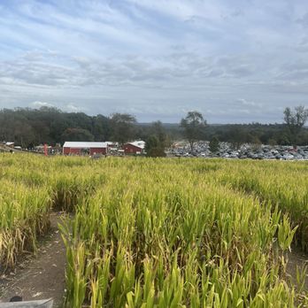 Butler's Orchard - Farmers Market Near Me - Germantown, Maryland