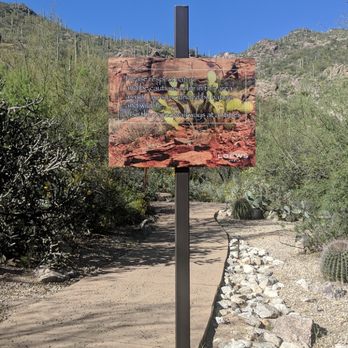 Canyon Cafe - Cafes Near Me - Tucson, Arizona
