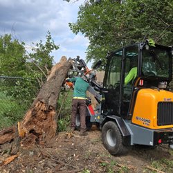 Reliable Tree Service