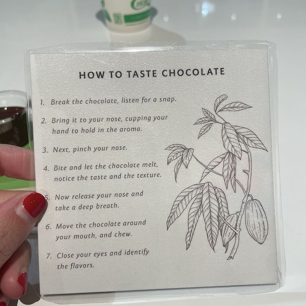 Maeve - Chocolatiers & Shops Near Me - Seattle, Washington Maeve - Chocolatiers & Shops Near Me - Seattle, Washington