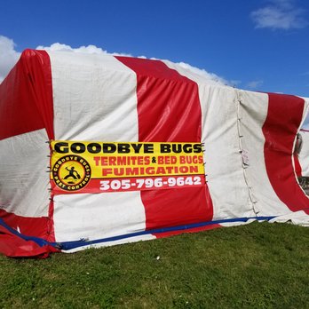 Goodbye Bugs Pest Control - Pest Control Near Me - Miami, Florida