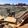 Photo of Arevalo Demolition