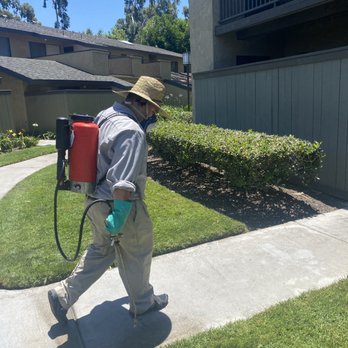 RatPact Ext - Pest Control Near Me