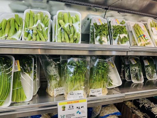 Hashi Market by null