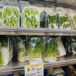 Hashi Market