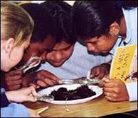 Edible Schoolyard Berkeley by null