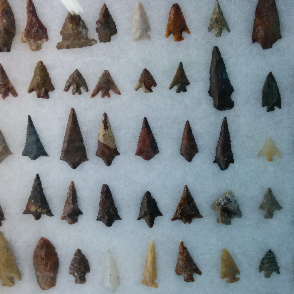 Ginkgo Gem Shop - Locally found arrowheads. - Hobby Shops Near Me - Vantage, Washington
