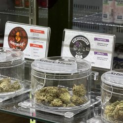 Silver Stem Fine Cannabis