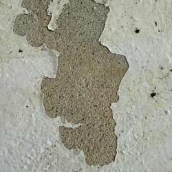 Sante Custom Painting & Designs - Peeling floors