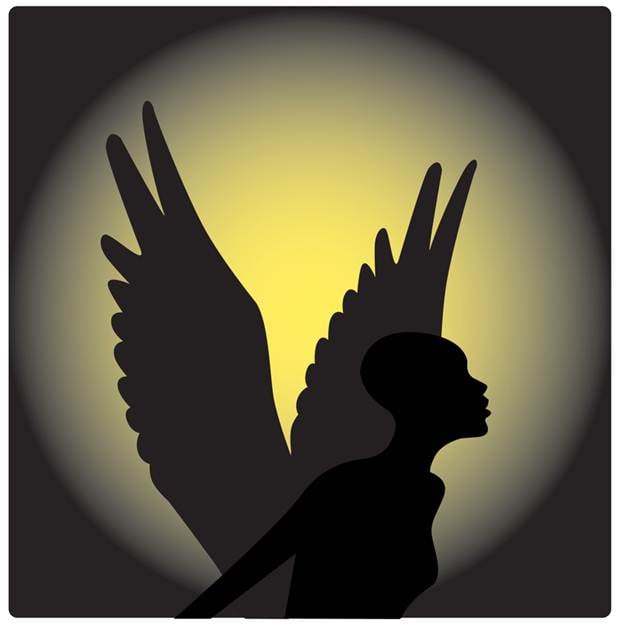 God's Guardian Angels Transportation - social services organization in Joliet, IL