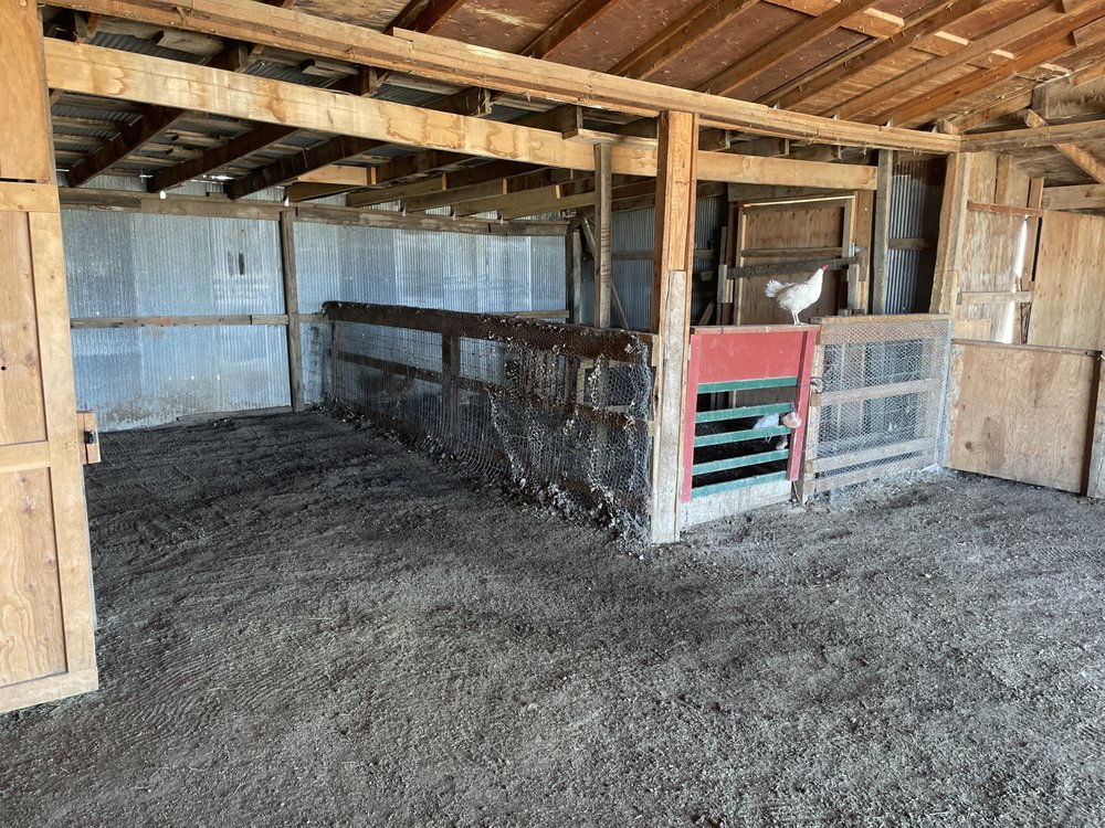 Caldwell Ranch - equestrian in Fountain, CO