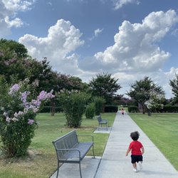Crepe Myrtle Trails Of McKinney