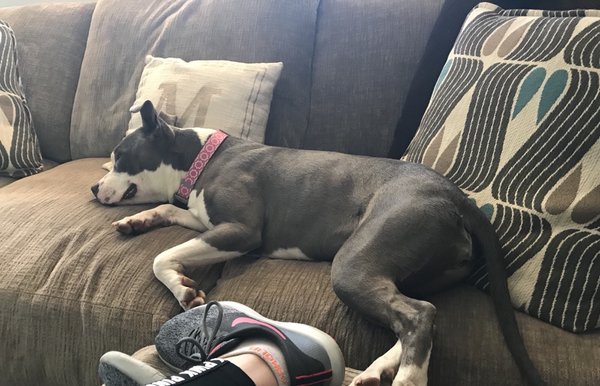 Ramona Humane Society 77 Photos 88 Reviews Animal Shelters 690 Humane Way San Jacinto Ca United States Phone Number Yelp