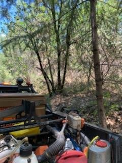 Brush Removal - No job too big or small!! Click the link below to schedule your Free Estimate today! Brush Removal - No job too big or small!! Click the link below to schedule your Free Estimate today!