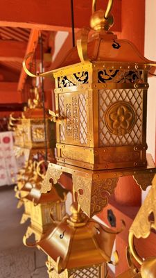 Kasugataisha Shrine by null