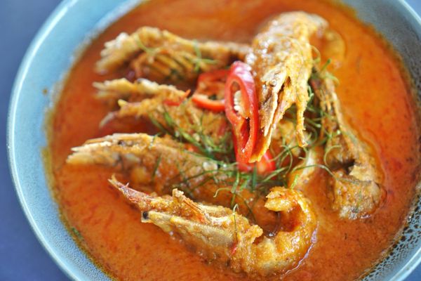 14/69 Mitchell St by null