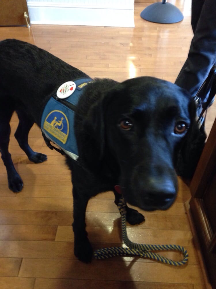 Ronald McDonald House - social services organization in Orlando, FL