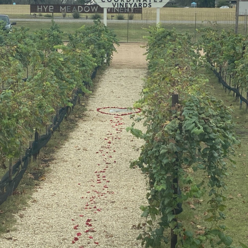 Coordinates Vineyards - The exact coordinates - Wine Tasting Room Near Me - Hye, Texas