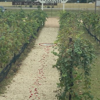 Coordinates Vineyards - The exact coordinates - Wine Tasting Room Near Me - Hye, Texas