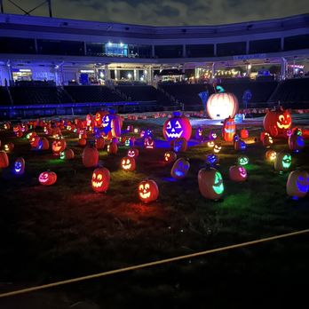 Pumpkin World - Pumpkin Patches Near Me - Pomona, New York