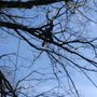 Photo of For The Love of Trees